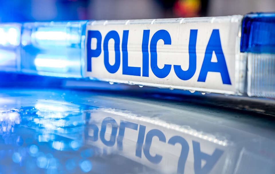 Policja / autor: Fratria