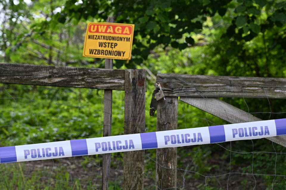 Lutoryż - działania policji / autor: PAP/Darek Delmanowicz