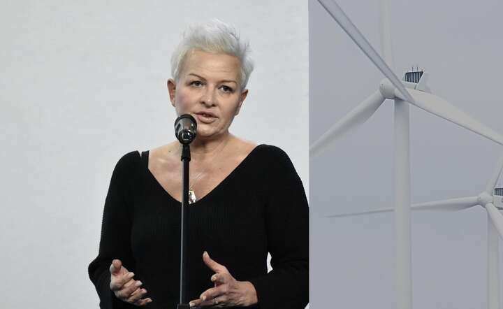 Anna Łukaszewska-Trzeciakowska: Ideologia Zielonego Ładu nie wytrzymuje zderzenia z kosztami i rzeczywistością gospodarczą / autor: Fratria / LS / Pixabay