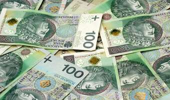 Złoty oddał zyski z ostatnich godzin