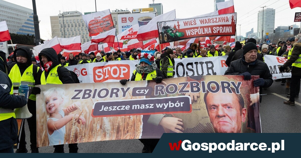 Cały kraj to odczuje! Mercosur uderzy w rynek pracy