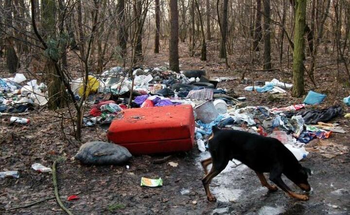 Stosy śmieci w lasach na południu Polski. Mandaty są za niskie