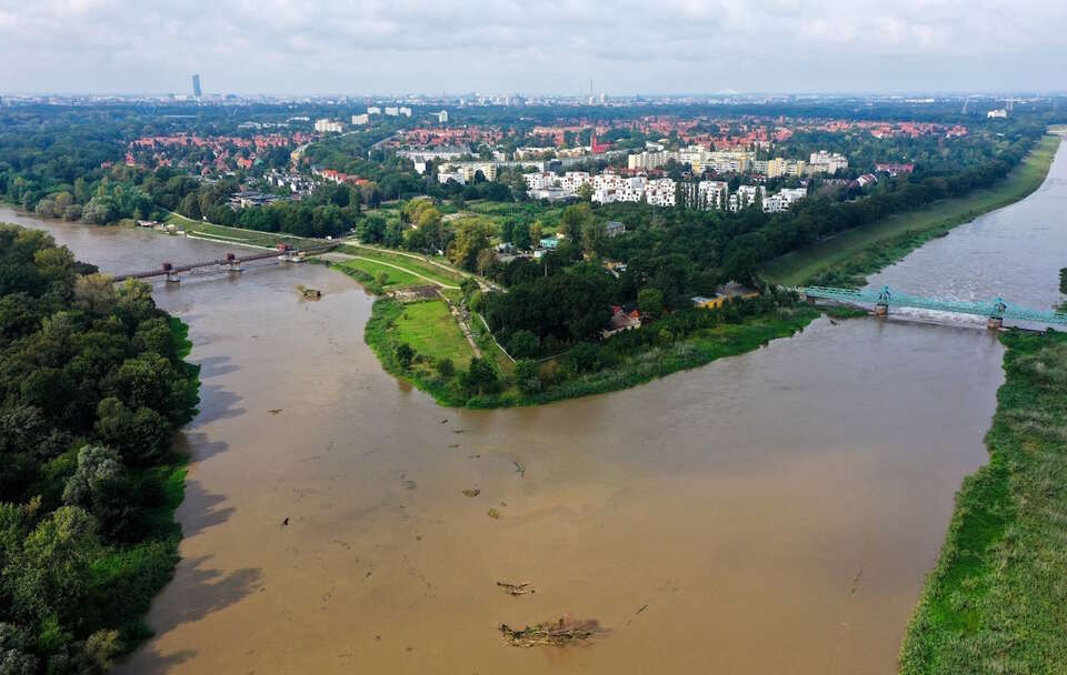 Wysoki stan wody w Odrze w okolicach Jazu Opatowickiego we Wrocławiu / autor: PAP/Maciej Kulczyński