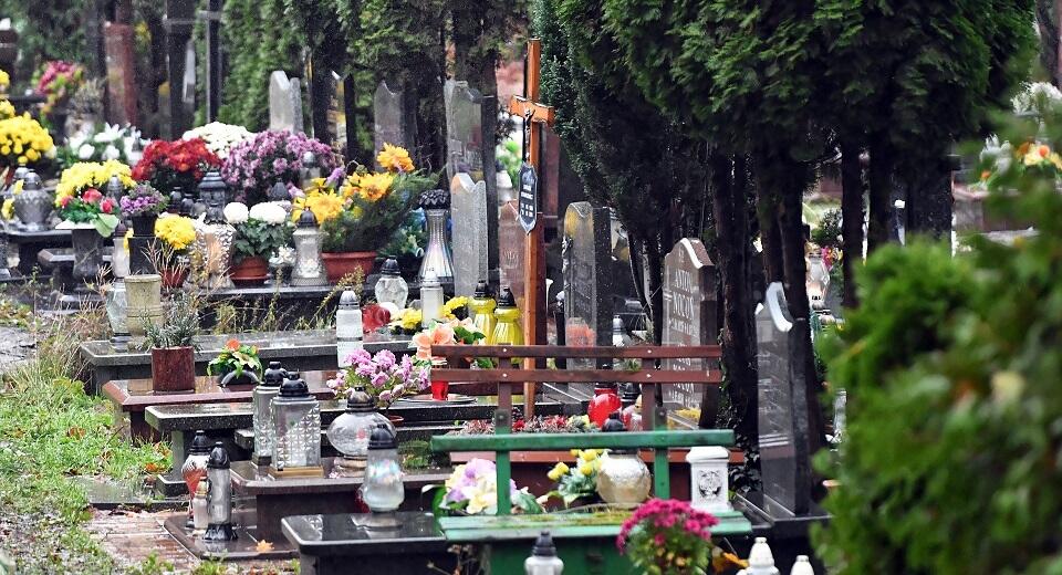 Cmentarz / autor: PAP/Marcin Bielecki
