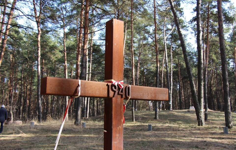 Polski Cmentarz Wojenny w Bykowni prawie zniszczony / autor: Fratria