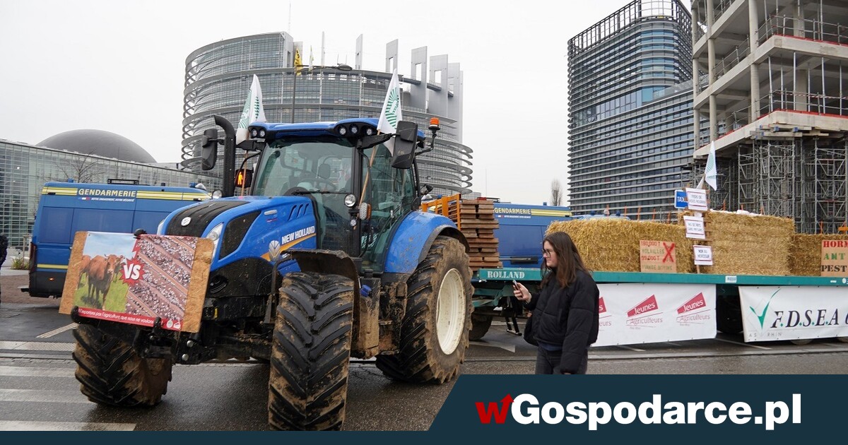 Francja sprzeciwiła się Mercosur. Czy Tusk dołączy?