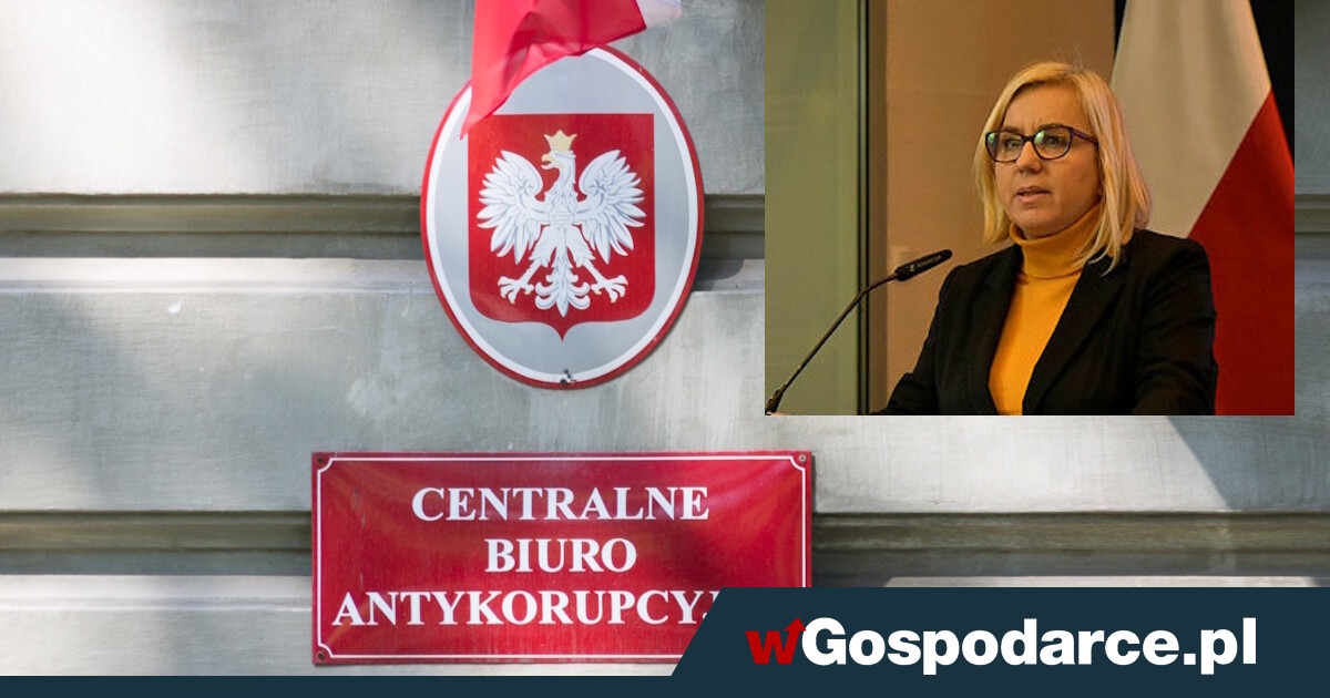 CBA wkracza do resortu klimatu. Skandal, 700 postępowań w ramach "Czyste powietrze”