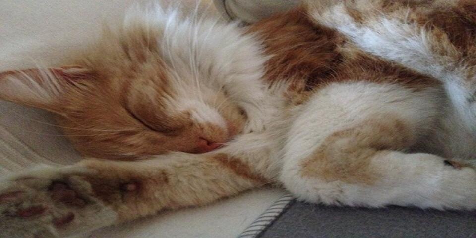 fot.Andżelika Brzozowska-Przybek