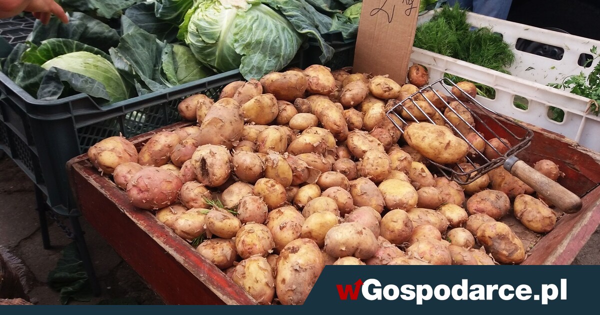 Upadlające: cena w handlu wyższa 40 razy od ceny skupu!