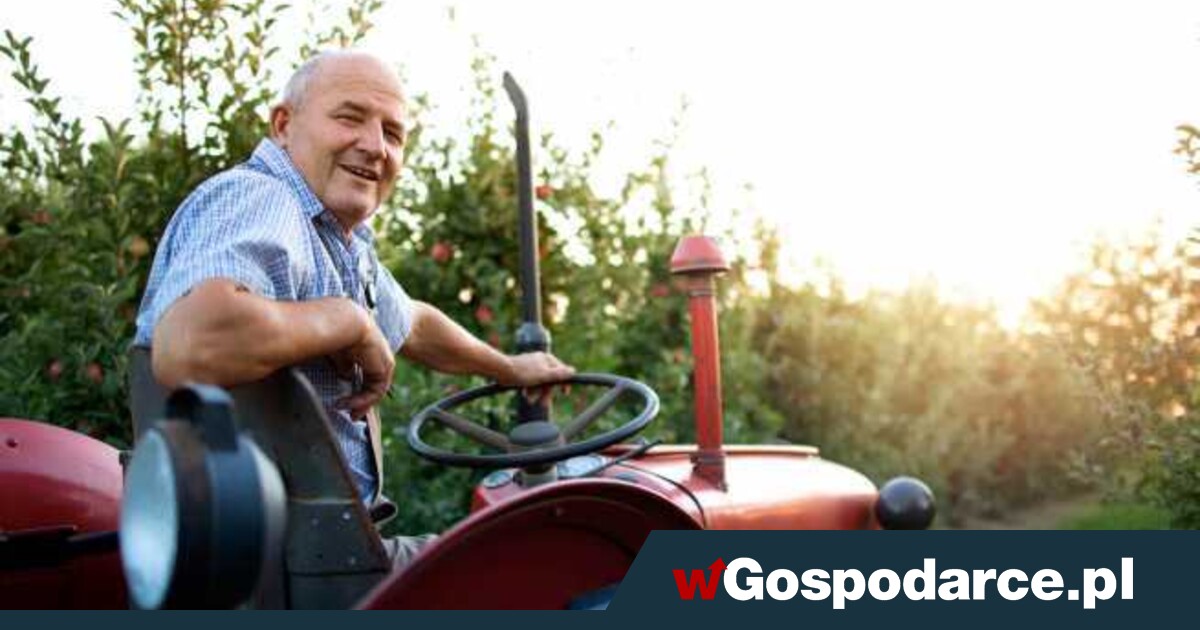 Rekordowe emerytury z ZUS i KRUS. Skąd takie różnice?