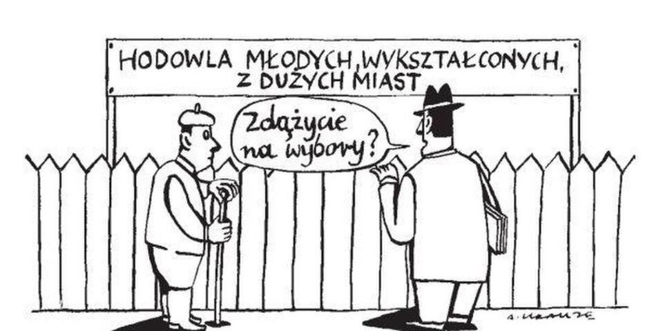 Rys. Andrzej Krauze