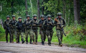 Prezydent Zeman oferuje Polsce przysłanie czeskich żołnierzy