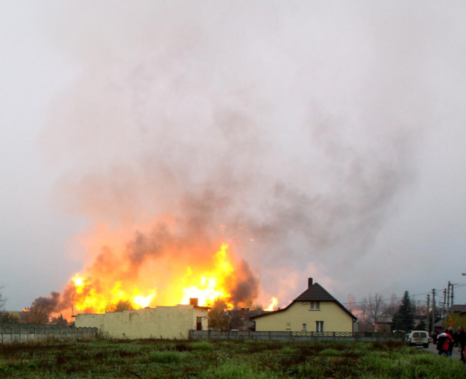 Fot. PAP/T. Wojtasik