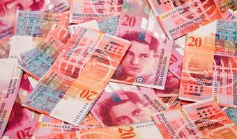 NBP: Straty banków po wejściu ustawy o frankowiczach to 21 mld zł
