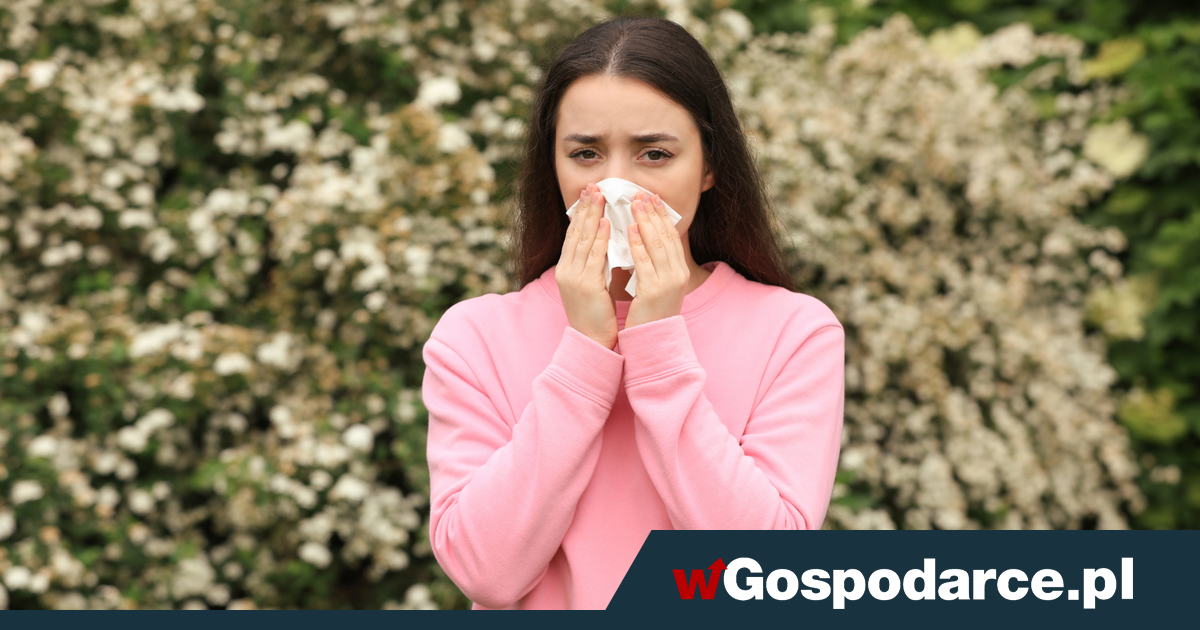Alergia wiosną – objawy, przyczyny i sposoby łagodzenia dolegliwości