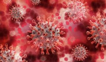 Niedzielski: 15900 nowych przypadków infekcji koronawirusem