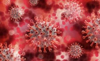 Niedzielski: 15900 nowych przypadków infekcji koronawirusem