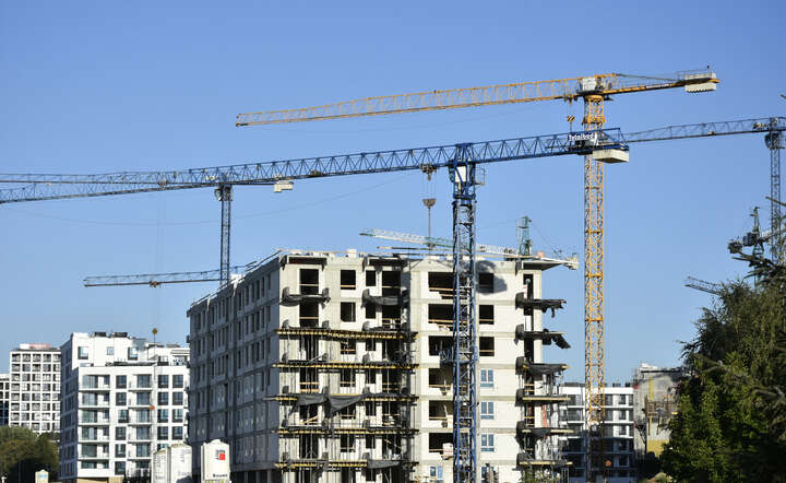 Mieszkania na wynajem / autor: Fratria