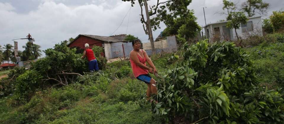 autor: fot. 	PAP/EPA/ALejandro Ernesto