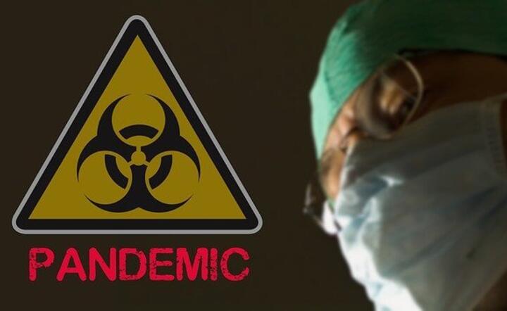 Pandemia COVID-19 / autor: Pixabay
