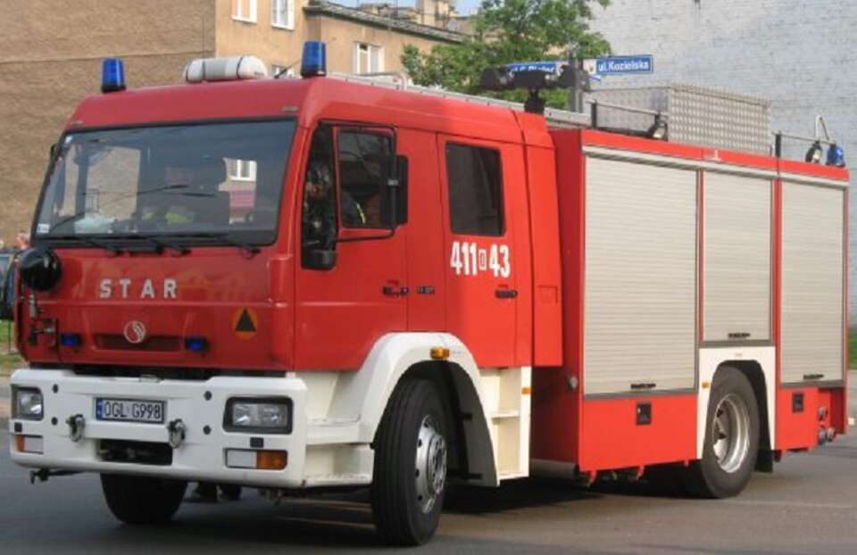 Fot. Kasjanek/Wikimedia Commons