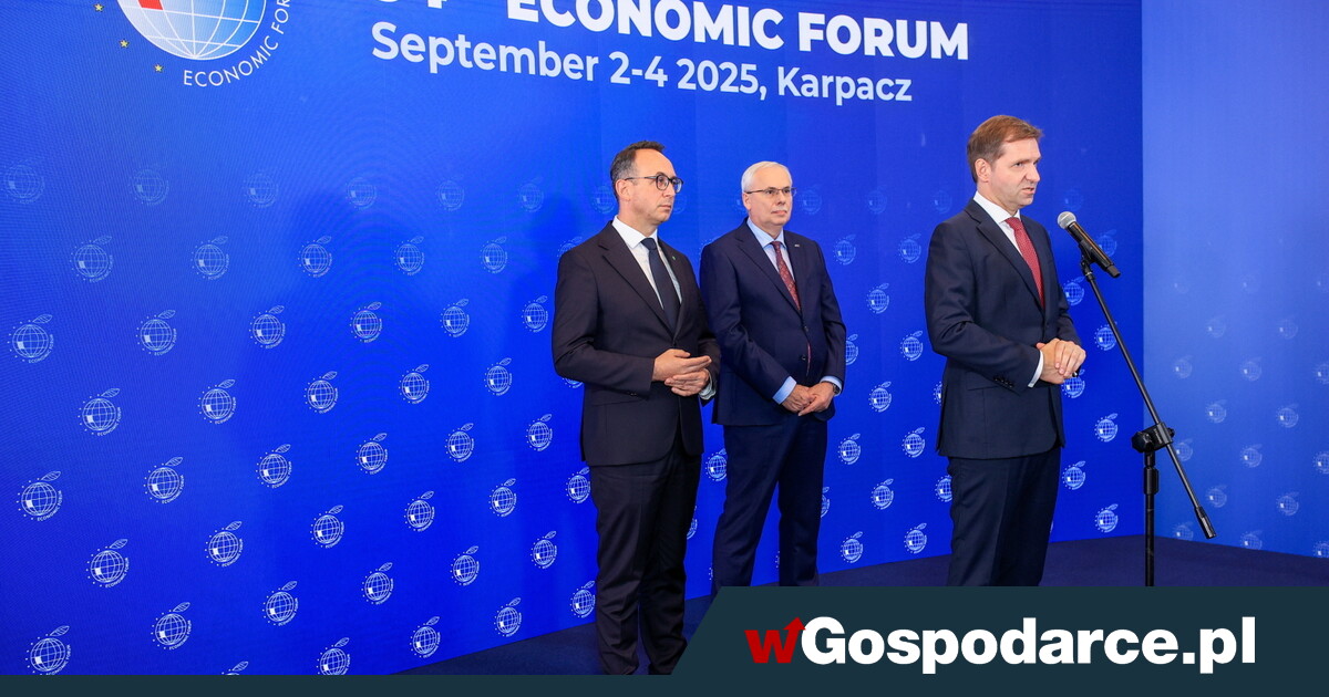 Michał Fijoł: obsługa airbusów nie będzie problemem