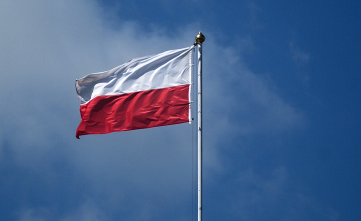 Polskie firmy i rozwój / autor: Pixabay