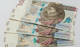 Dodatkowy efekt 500+: Już wiadomo, gdzie jest mało dzieci