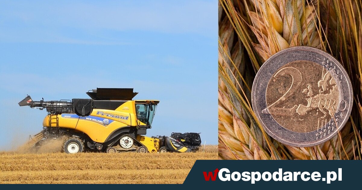 Ponad 24 mld euro dla rolników. Dużo czy mało?