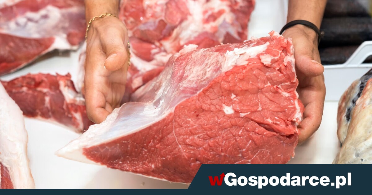 Wołowina drożeje, eksport rośnie. Co się dzieje?
