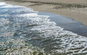 Plaża nad Morzem Bałtyckim - zdjęcie ilustracyjne. PiS chciałoby wybudować Port Haller / autor: Fratria