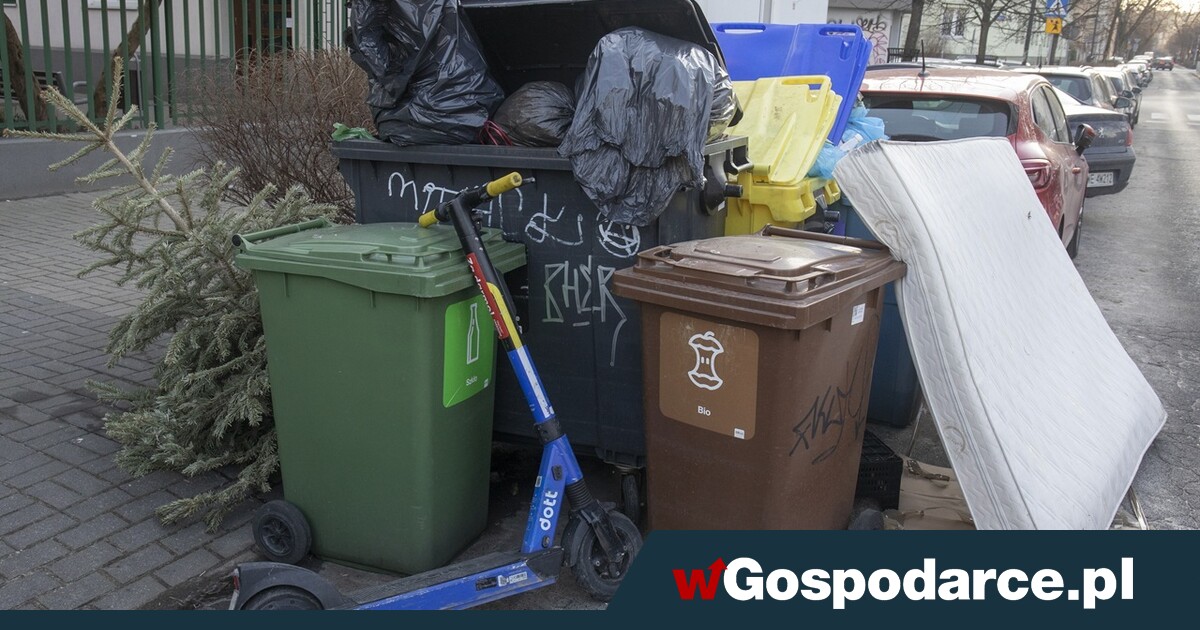 W grudniu marnujemy tony żywności