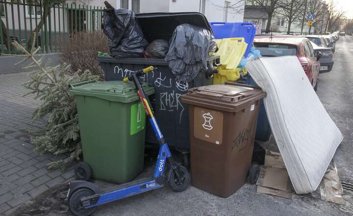 W przeciętnym polskim domu co tydzień trafia do kosza blisko cztery kilogramy jedzenia / autor: Fratria / Andrzej Wiktor