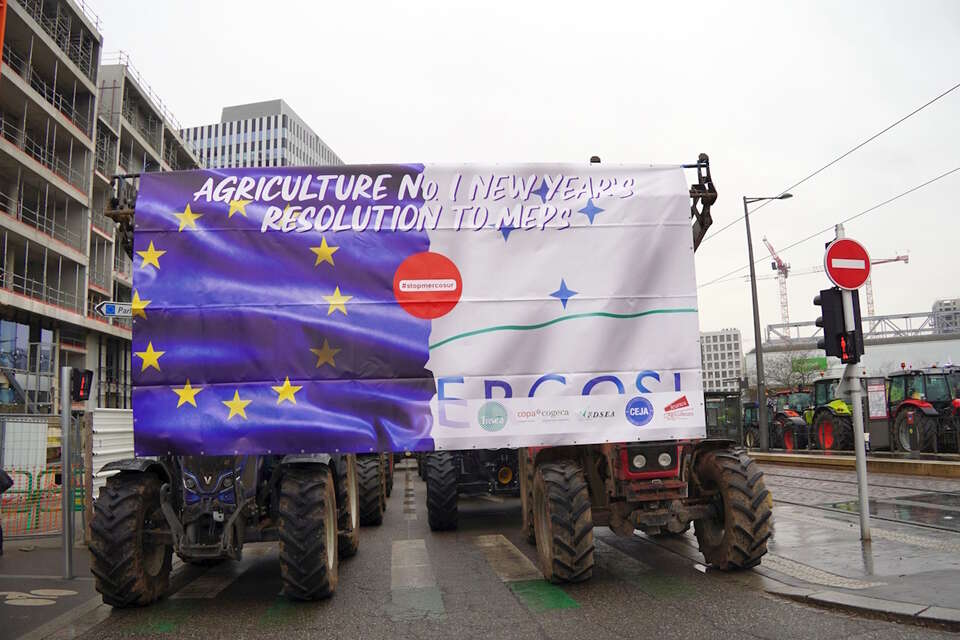 Protest rolników w Strasburgu we Francji przed Parlamentem Europejskim, przeciw m.in. umowie Mercosur (zdjęcie archiwalne) / autor: Fratria