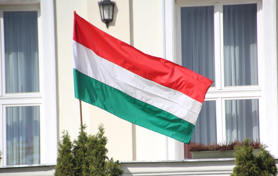 Flaga Węgier / autor: Fratria