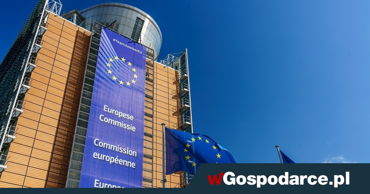 Polska firma wygrywa z Brukselą. Czy zostanie na rynku UE?