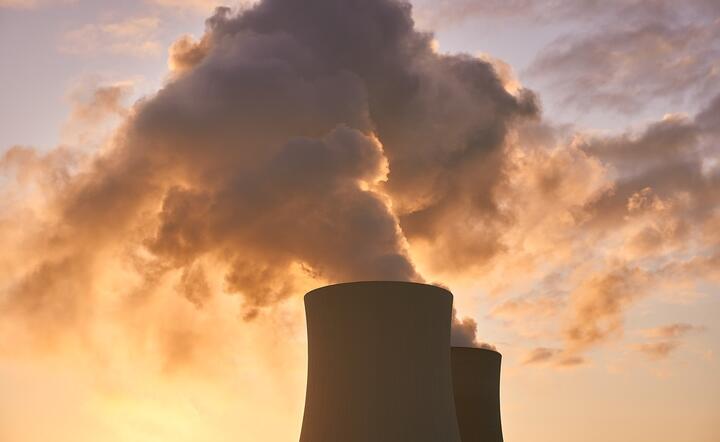 Elektrownia jądrowa / autor: Pixabay