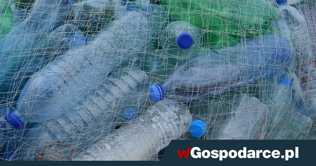 Wszędzie plastik! Mamy już 8 miliardów ton tej trucizny