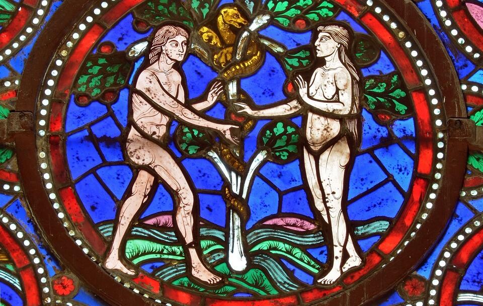 Adam i Ewa na witrażu w katedrze św. Juliana w Le Mans (zdj. ilustracyjne)  / autor: wikimedia commons/Selbymay, https://creativecommons.org/licenses/by-sa/3.0/