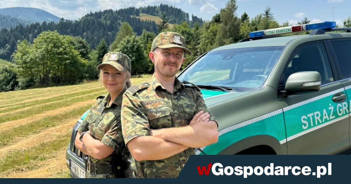 Polska deportuje 31 tys. cudzoziemców