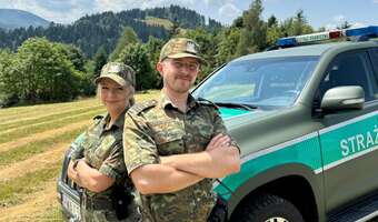 Polska deportuje 31 tys. cudzoziemców