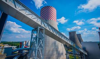 Jesienią decyzja o przyszłości elektrowni Łagisza
