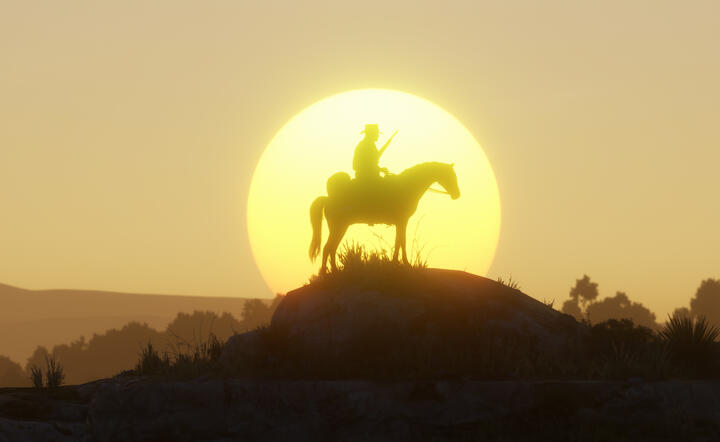 Red Dead Redemption 2 / autor: fot. Materiały Promocyjne