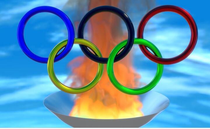 Tokio - wirusolog: gdyby igrzyska miały rozpocząć się jutro, nie odbyłyby się / autor: Pixabay