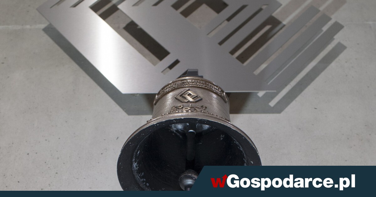 Liderzy wzrostu kursów akcji na GPW