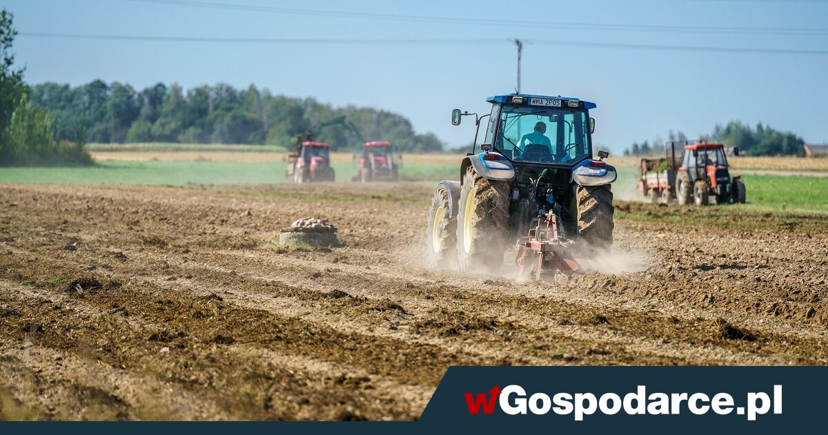 Zwrot akcyzy za paliwo całkowicie po nowemu