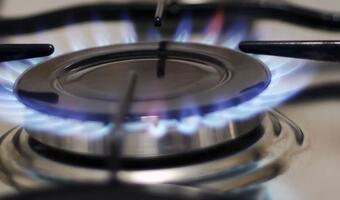 Wolne ceny gazu dla dużych od lipca