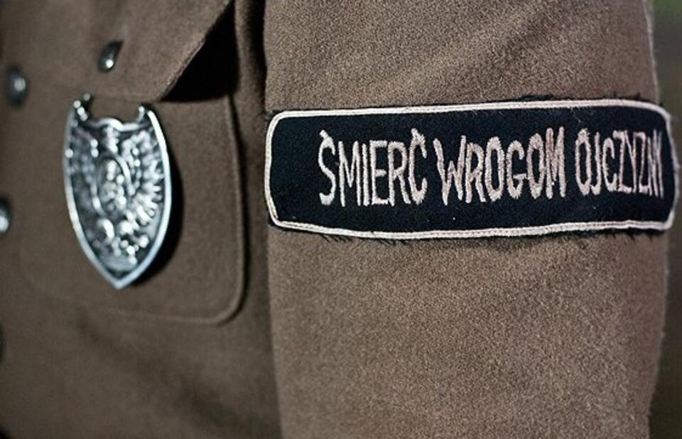 Fot. Przemek Czyżewski (www.czyzewski.waw.pl)