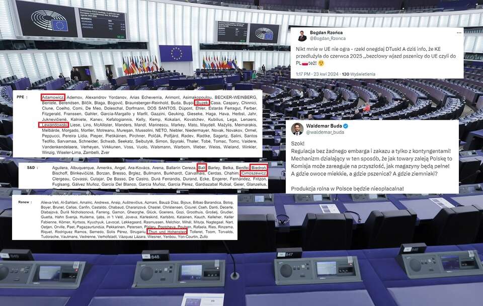 Parlament Europejski / autor: PAP/EPA; X; screen/europarl.europa.eu