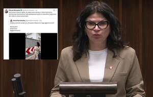 autor: screenshot YouTube Sejm RP/screenshot X